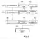 Fig. 05 - System and method for displaying a stream of images