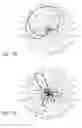 Fig. 19 - Direction detection device for acquiring and processing audible input