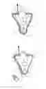 Fig. 02 - Hearing device for being worn at least partly within an ear canal and a method for manufacturing such a hearing device