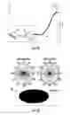 Fig. 02 - Small cell antennas suitable for MIMO operation