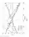 Fig. 04 - Synchronization signal search