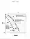 Fig. 33 - APPARATUS AND METHOD FOR TRANSMITTING/RECEIVING OF DATA IN WIRELESS COMMUNICATION SYSTEM