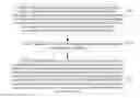 Fig. 01 - Information transmission method, user equipment, and base station