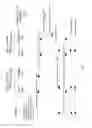 Fig. 20 - Multiple-use wireless network
