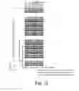 Fig. 11 - Terminal device, base station device, and communication method