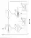 Fig. 07 - Beacon system to improve wireless audio communication between headset communication devices