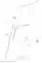 Fig. 04 - Rear slider window assembly with laminated heating element
