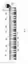 Fig. 07 - System, apparatus and method for applying UAN liquid fertilizer to the soil