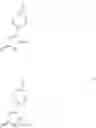 Fig. 03 - ENCAPSULATED LACTAMS