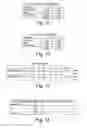Fig. 08 - PROCESS FOR MAINTAINING FRESHNESS OF VEGETABLE PIECES