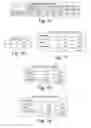 Fig. 09 - PROCESS FOR MAINTAINING FRESHNESS OF VEGETABLE PIECES