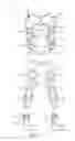 Fig. 02 - REHABILITATION COMPRESSION GARMENTS