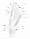 Fig. 01 - WORK GLOVES