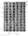 Fig. 08 - Insulated Composite Fabric
