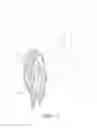 Fig. 08 - Hair extension