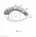 Fig. 10 - Eyelashes Unit with Multi-pole Magnetizing Flexible Strip
