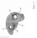Fig. 04 - Spring absorption technology (S.A.T.) helmet