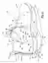 Fig. 17 - Dynamic lacing system