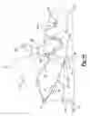 Fig. 48 - Dynamic lacing system