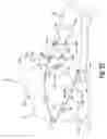 Fig. 45 - Dynamic lacing system