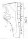 Fig. 02 - ARTICLE OF FOOTWEAR INCORPORATING FOAM-FILLED ELEMENTS AND METHODS FOR MANUFACTURING THE FOAM-FILLED ELEMENTS