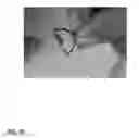 Fig. 33 - Code Charm Containing Cryptic Message Only Readable When Spun