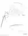 Fig. 02 - DEVICE FOR SELECTIVELY PARTING STRANDS OF HAIR