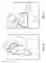 Fig. 09 - Upright Sleep System