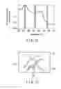 Fig. 10 - Endoscope apparatus for changing light quantity ratio between first emphasis narrow band light and first non-emphasis narrow band light and light quantity ratio between second emphasis narrow band light and second non-emphasis narrow band light