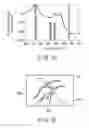 Fig. 14 - Endoscope apparatus for changing light quantity ratio between first emphasis narrow band light and first non-emphasis narrow band light and light quantity ratio between second emphasis narrow band light and second non-emphasis narrow band light
