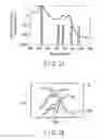 Fig. 15 - Endoscope apparatus for changing light quantity ratio between first emphasis narrow band light and first non-emphasis narrow band light and light quantity ratio between second emphasis narrow band light and second non-emphasis narrow band light