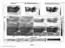 Fig. 03 - Efficient modulated imaging