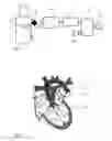 Fig. 08 - Method and apparatus for the non-invasive measurement of pulse transit times (PTT)