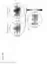 Fig. 22 - SYSTEM, METHOD AND APPARATUS FOR REHABILITATION WITH TRACKING