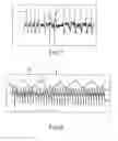Fig. 07 - Representative emulation of organ behavior