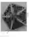 Fig. 07 - Device, System and Method for Hemispheric Array Breast Imaging