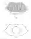 Fig. 04 - EXFOLIATION TOOL AND LIP BALM