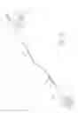 Fig. 55 - Systems and methods for treatment of perforator veins for venous insufficiency