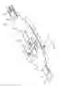 Fig. 09 - Abdominal aortic tourniquet