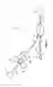 Fig. 02 - SNARE INJECTION DEVICE