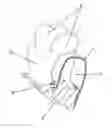 Fig. 01 - METHOD FOR PRODUCING AN OCCLUSIVE BARRIER FOR BONE REGENERATION AND AN OCCLUSIVE BARRIER OBTAINED BY MEANS OF SAID METHOD