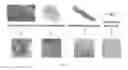 Fig. 04 - TISSUE-DERIVED SCAFFOLDS FOR CORNEAL RECONSTRUCTION