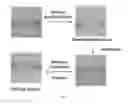 Fig. 12 - TISSUE-DERIVED SCAFFOLDS FOR CORNEAL RECONSTRUCTION