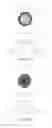 Fig. 32 - TISSUE-DERIVED SCAFFOLDS FOR CORNEAL RECONSTRUCTION
