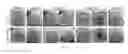 Fig. 34 - TISSUE-DERIVED SCAFFOLDS FOR CORNEAL RECONSTRUCTION