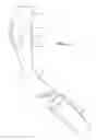 Fig. 03 - LEG COMPRESSION SLEEVE WITH INSERT FOR SHIN SPLINTS