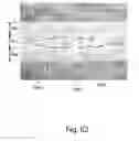 Fig. 67 - Apertured webs and methods for making the same