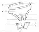 Fig. 01 - Undergarment with opening at crotch area and an attachable, replaceable crotch piece referred to as stripe covering crotch area for maintaining vaginal hygiene and preventive care against vaginal infections