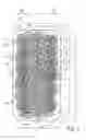 Fig. 08 - Disposable absorbent article