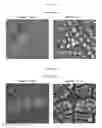 Fig. 07 - Agent for conditioning dentin and enamel